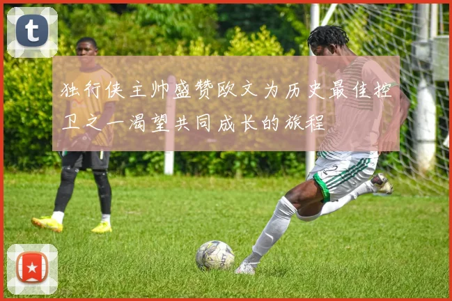 独行侠主帅盛赞欧文为历史最佳控卫之一渴望共同成长的旅程